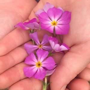 Meet your Posher, Michelle